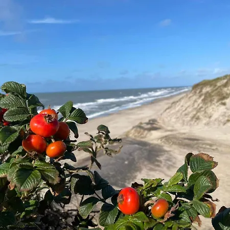 6 Person In Ringkøbing