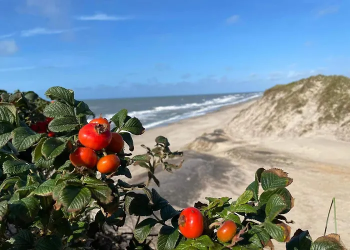 6 Person In Ringkøbing