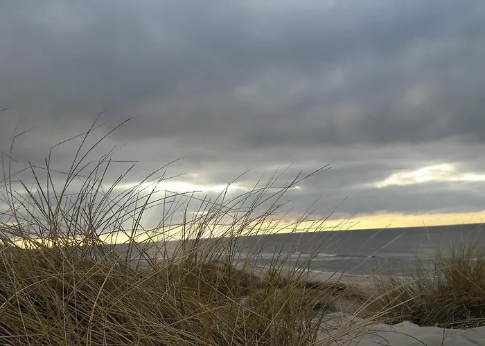 6 Person In Ringkøbing